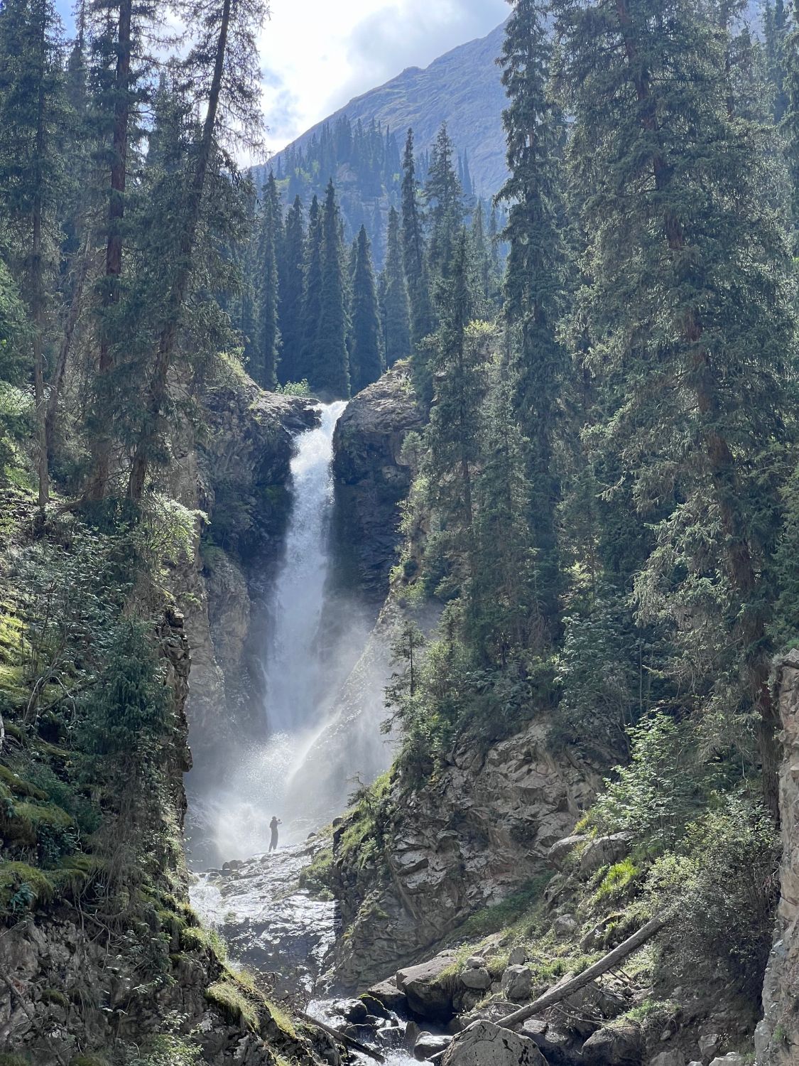 Cascade de Barskoon dans la forêt de sapins