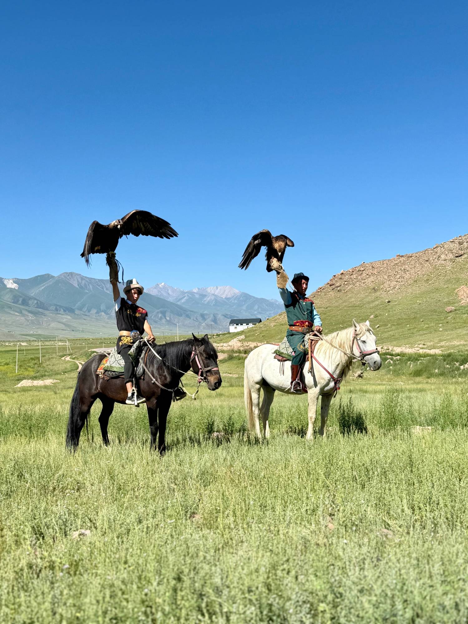 Chasseurs à l'aigle kirghizes à cheval, spectacle traditionnel