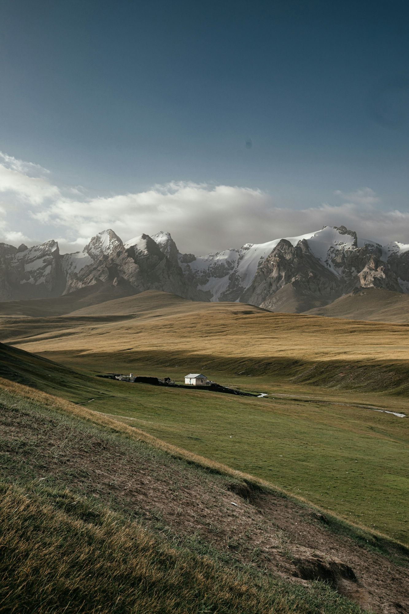 Steppe d'altitude et alpage du Tian Shan